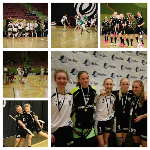 Det hände massor under 2015 års Täby Open. Se många fler bilder på vår Facebook-sida.